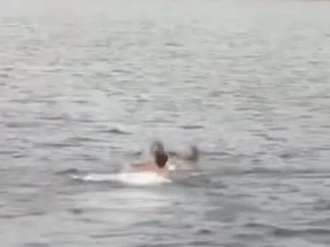 Diễn viên Bạch Tử Hiên nhận 'cơn mưa' lời khen khi lao xuống biển cứu 2 cô gái đuối nước