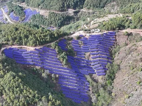 Risen Energy giành được đơn hàng mô-đun HJT 1,2GW từ China Huaneng Group, khẳng định vị thế dẫn đầu ngành