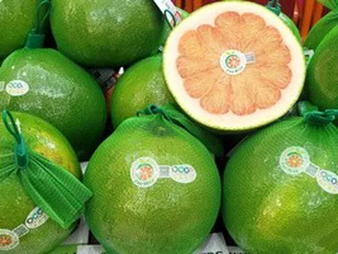 Thêm 2 loại trái cây phổ biến của Việt Nam được xuất chính ngạch sang Trung Quốc