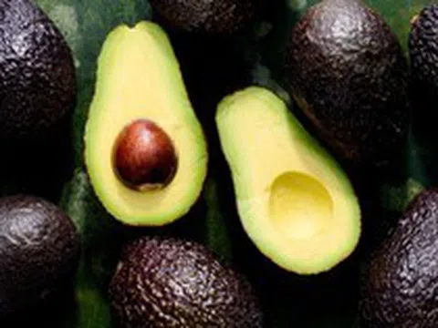 Ai không nên ăn quả bơ?