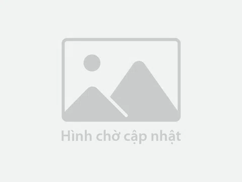 Khôn lỏi và cái giá phải trả