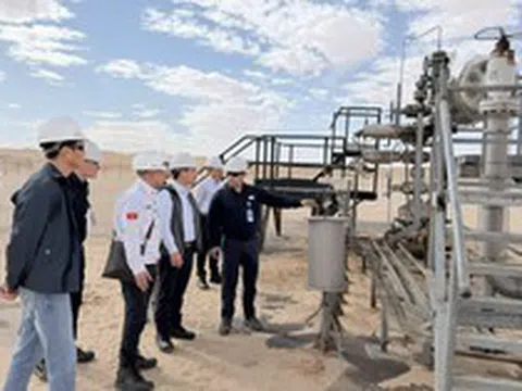 Đấu thầu thăm dò 7 lô dầu khí ở quốc gia Bắc Phi xuất khẩu khí tự nhiên lớn thứ 2 thế giới, DN Việt Nam nào xuất hiện?