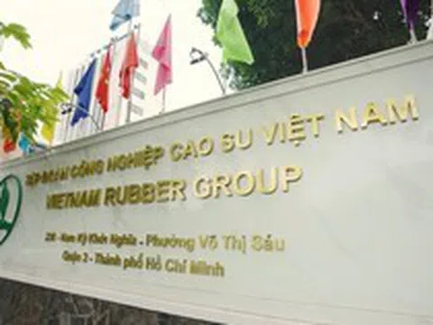 Một tập đoàn Nhà nước trả cho nhân sự trung bình 53 triệu đồng/tháng