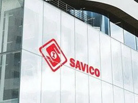 Vì sao Savico không đáp ứng điều kiện công ty đại chúng?