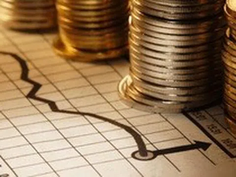 ĐHCĐ thường niên EVG: Nhiều tín hiệu lạc quan và triển vọng tăng trưởng kinh doanh bền vững