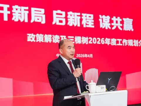 3Trees đứng số 1 toàn cầu về sản lượng bán hàng sơn giả đá năm 2025, thúc đẩy chiến lược quốc tế