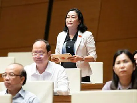 ĐB Trần Thị Hoa Ry: Phân cấp cho cấp dưới nhưng cấp trên vẫn quyết định; việc quá tải ở cấp cơ sở