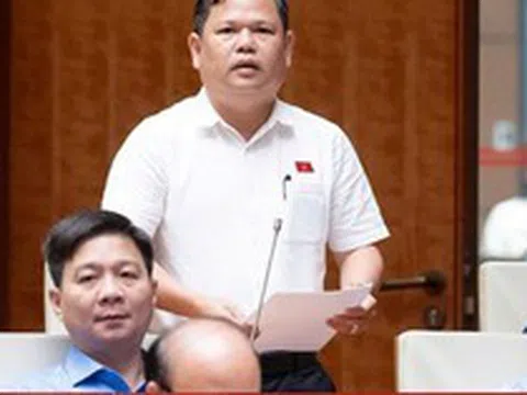 ĐBQH đề xuất nâng ngưỡng chịu thuế với hộ kinh doanh lên 3 tỷ đồng/năm