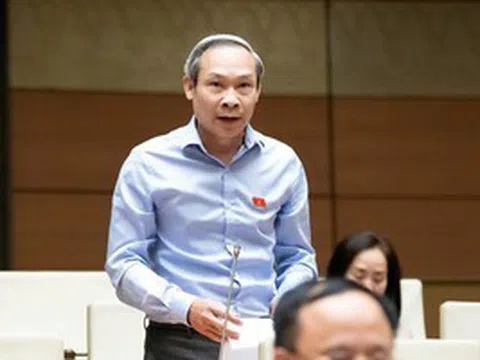 Đề xuất đưa vào luật khung doanh thu miễn thuế với hộ kinh doanh từ 1 - 3 tỉ đồng/năm