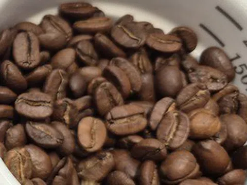 Giá cà phê hôm nay 24-4: Đồng loạt tăng 3 con số