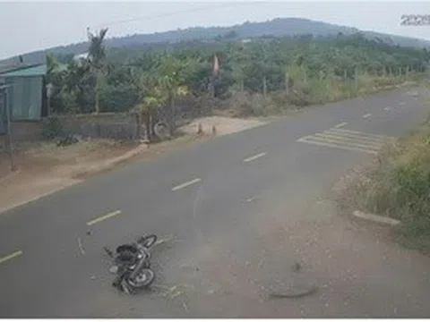 Toàn cảnh các vụ án đáng chú ý trong tuần