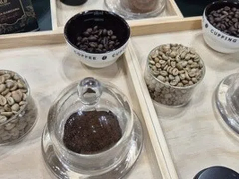 Giá cà phê hôm nay, 30-4, giảm nhẹ; Starbucks có gần 8.000 cửa hàng tại Trung Quốc