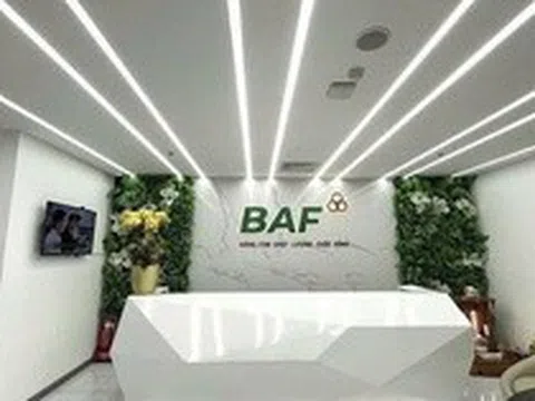 Baf Việt Nam nhận chuyển nhượng 25% vốn góp một doanh nghiệp chăn nuôi tại Gia Lai