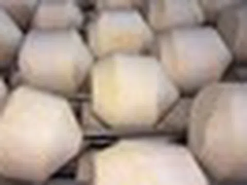 Rẻ hơn sầu riêng nhưng là 'siêu quả' tỷ USD của Việt Nam: Trung Quốc ồ ạt gom hàng, Mỹ 'chi đậm' để mua lớn