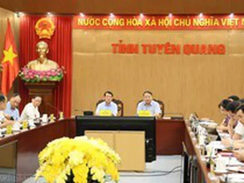 Đại gia Vũ Văn Tiền muốn chi 7.800 tỷ đồng để chăn nuôi lợn, trồng chè