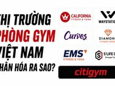 Chuỗi 'rèn múi luyện cơ' giá rẻ 300.000 đồng/tháng lăm le soán ngôi vua phòng gym của California Fitness, riêng Fitness Elite mất hút khỏi top đầu