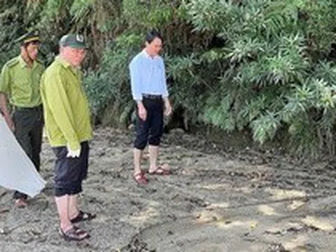 Con vật quý nặng 5 kg "đi lạc" vào khu dân cư, nhiều người lần đầu nhìn thấy