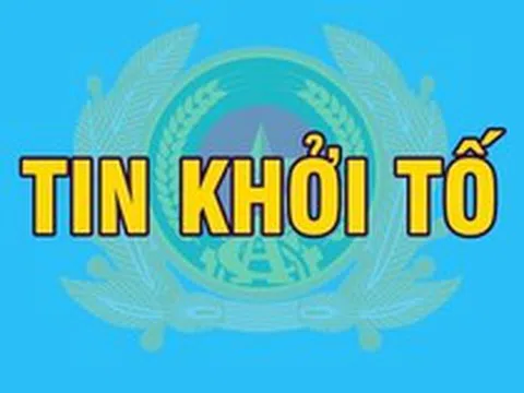 Khởi tố Giám đốc, viên chức Ban Quản lý rừng; Giám đốc, Phó Giám đốc, chủ sở hữu doanh nghiệp