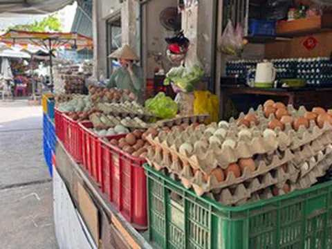 Lao đao vì giá trứng giảm sâu