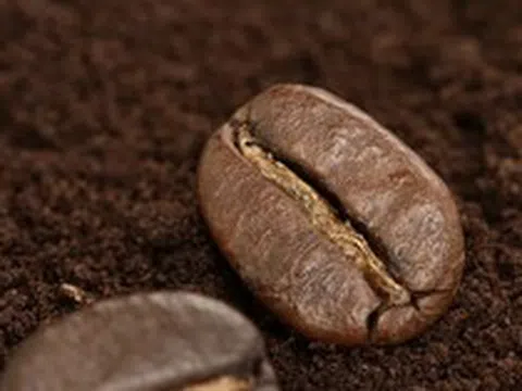 Rắc một nắm bã cà phê quanh gốc cây, điều xảy ra sau đó khiến nhiều người thích thú