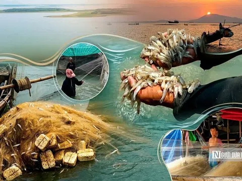 Theo chân người dân "xóm Việt kiều" mưu sinh bên hồ Dầu Tiếng