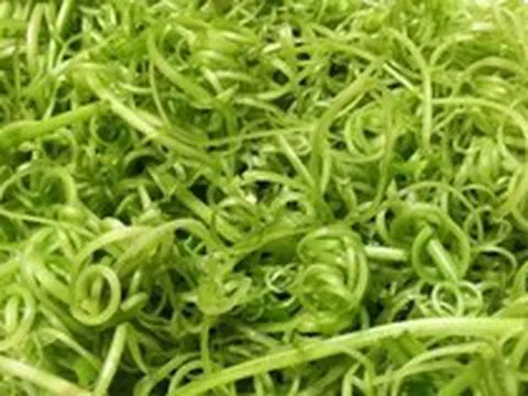 Phát hiện 5 loại rau bán đầy chợ có nguy cơ nhiễm ký sinh trùng cao bậc nhất, nhiều người không biết vẫn chủ quan