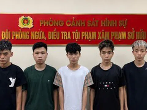 Bắt giữ 5 thanh thiếu niên cướp xe, điện thoại của người đi đường