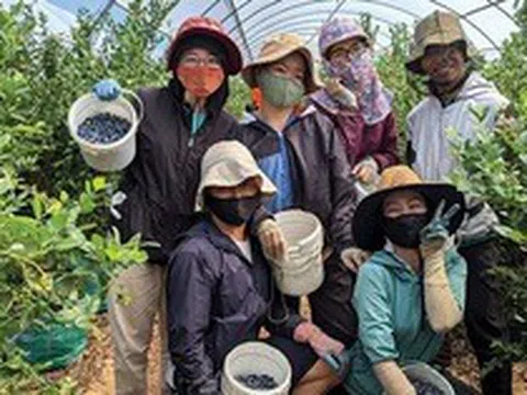 Tin vui cho lao động Việt Nam làm việc tại Úc