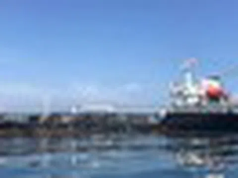 Né eo biển Hormuz, láng giềng Việt Nam gấp rút tìm 'cứu tinh' dầu thô ở châu Phi