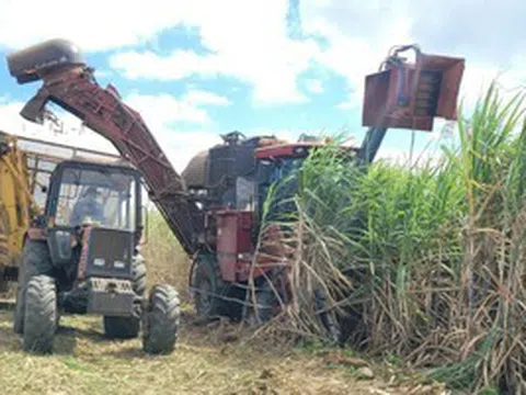 Đường lậu, không rõ nguồn gốc vẫn tràn lan