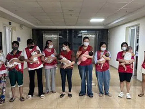 Triệt phá hoạt động môi giới mang thai hộ, mua bán trứng, thu lợi bất chính hàng trăm triệu đồng