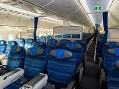 Rắn bò trên khoang khách máy bay Tui