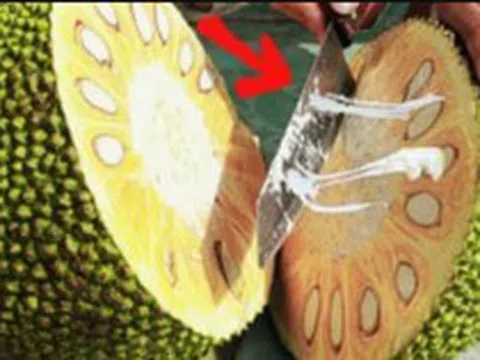 Bổ mít mà bôi thêm 1 lớp này, dao trơn tuồn tuột, vừa không lo dính nhựa, lại còn dễ vệ sinh