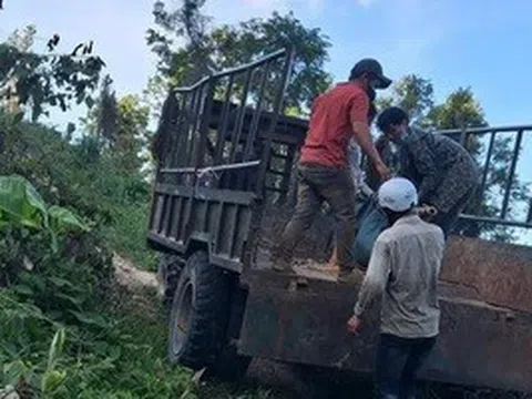 Vây bắt nghi phạm nổ súng giết người trong rừng sâu Gia Lai