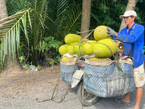 Trái cây lại rơi vào cảnh được mùa mất giá