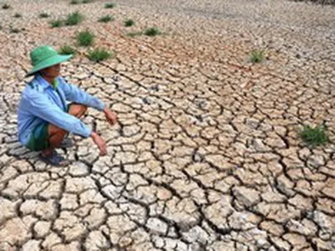 El Nino có thể mạnh như 10 năm trước, Việt Nam đối mặt kịch bản khô hạn ra sao?