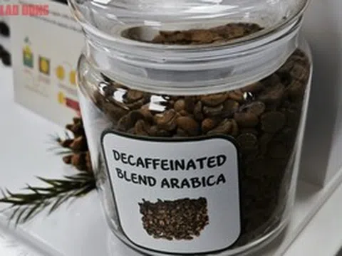 Giá cà phê hôm nay 29-6: Điều ít biết về cà phê không chứa caffeine