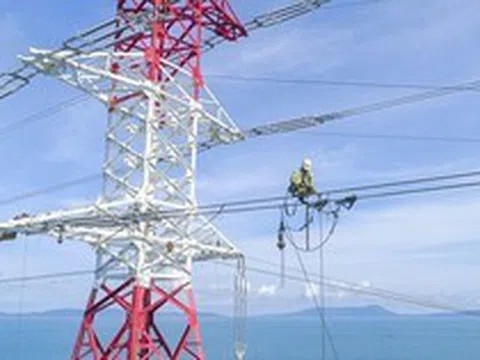Một công ty con của EVN bị cả 4 Công ty Big4 từ chối kiểm toán sau khi Chủ tịch HĐQT bị khởi tố
