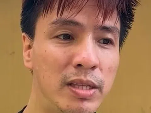 Tăng Nhật Tuệ thừa nhận 'mất tất cả' sau khi bị bắt, siêu mẫu Hạ Vy báo tin vui