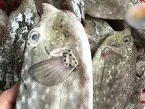 Xử phạt nhà hàng ở Nha Trang bị du khách tố 'chặt chém'