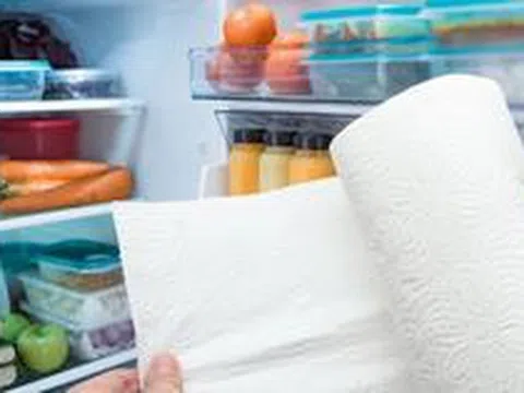 Nhiều người thường xuyên bỏ khăn giấy vào tủ lạnh, hóa ra là vì 4 tác dụng này