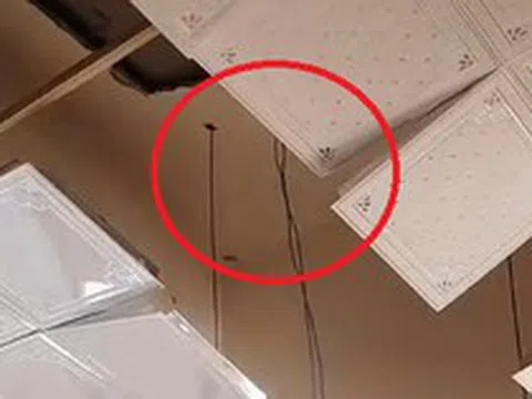 Đang ngủ, người phụ nữ phát hiện cảnh tượng "đáng sợ" giữa đêm