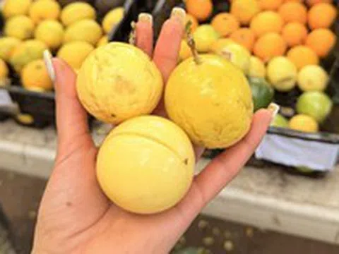 Chợ Việt có 4 thực phẩm màu vàng được ví như “thần dược” mùa thu
