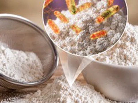 6 thứ trong bếp có thể chứa vi khuẩn Salmonella: Có loại nằm ngay trên kệ gia vị