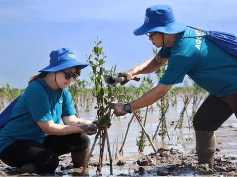 HOẠT ĐỘNG TRỒNG RỪNG “AQUA CHĂM - TRĂM SỨC DƯỠNG SỐNG” ĐƯỢC VINH DANH LÀ CHIẾN DỊCH MARKETING VÌ PHÁT TRIỂN BỀN VỮNG - HẠNG MỤC CSR