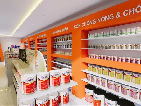 THỊ TRƯỜNG SƠN NƯỚC: GIẢI MÃ SỰ TRỖI DẬY CỦA "TÂN BINH"